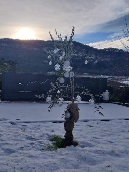 La Finestra Sul Brenta Apartment Lasino ภายนอก รูปภาพ